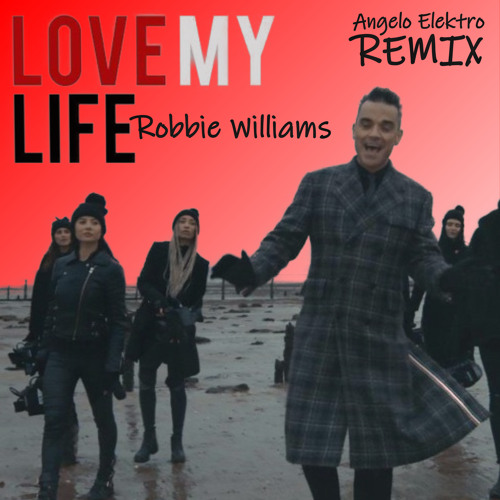 ترجمه کامل و توضیحات آهنگ Love My Life از Robbie Williams